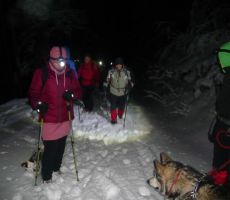 GOLAKI 1495m, 18.01.2019 - PS PT Nova Gorica